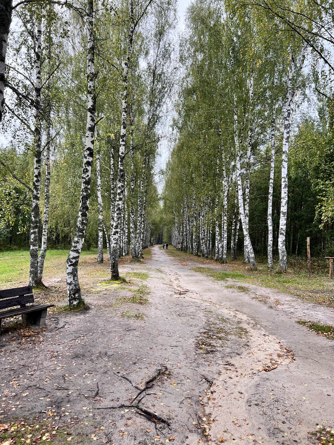 Заповедный Светлояр, или Русская Атлантида (Ольга)