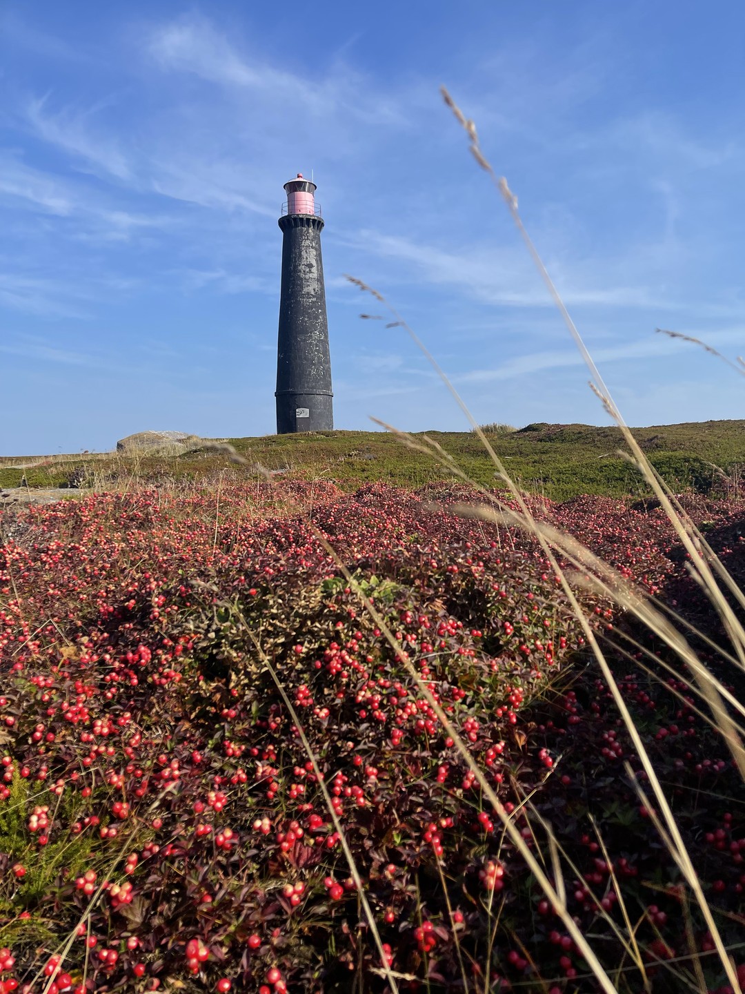 Путешествие закончилось и теперь можно эмоции трансформировать в слова и слова составить в предложения благодарности за