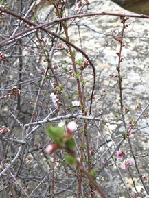 Фото отзыва 3: экскурсия "Путешествие в глубь веков: тайны Гобустана и Апшерона."