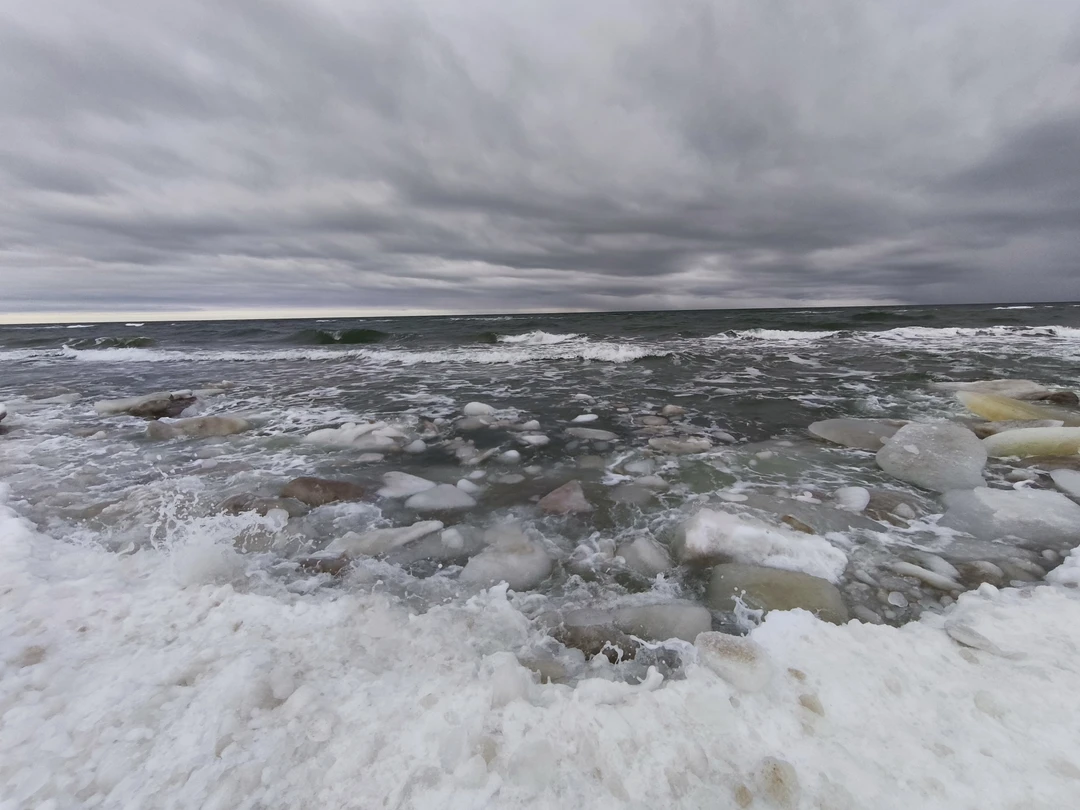 Огромное спасибо Регине за прекрасную экскурсию. Узнади много интересного. Природа прекрасна в любое время года