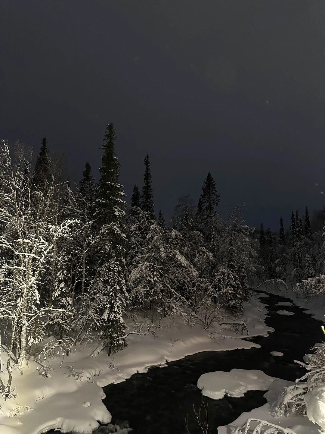 Нам с подругой все очень понравилось