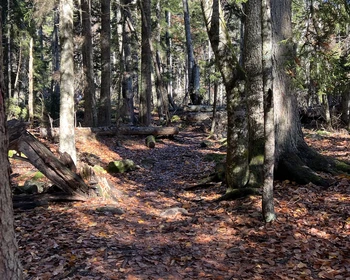 Треккинг к Бадукским озёрам