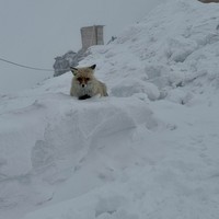 Фото отзыва 1: экскурсия "Привет, Эльбрус! Поездка в группе из Пятигорска"