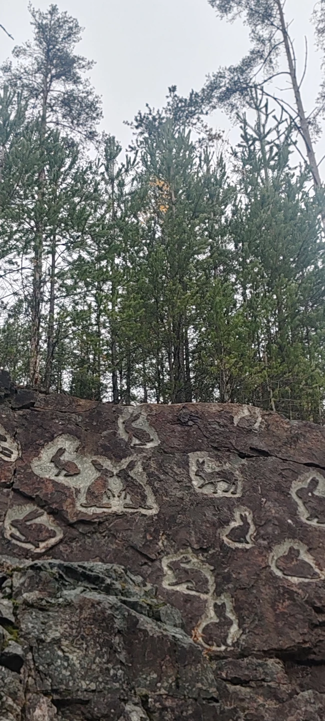 Экскурсия нам очень понравилась! Вадим очень интересный рассказчик, очень вежливый человек! Показал нам чудесную красоту Карелии