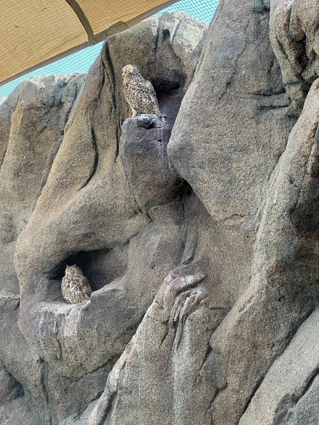 Великолепная поездка, маршрут, места, истории, а главное - гид! Две поездки подряд в разные места доверили