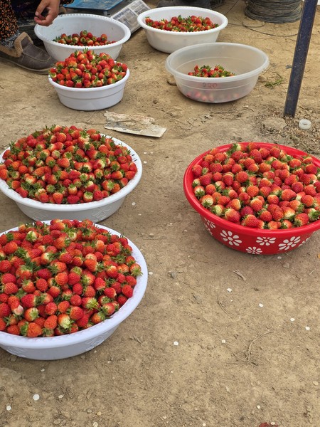 Это просто супер экскурсия. Шохрух великолепный гид. Очень много интересного рассказал, показал красивейшие места. 10 часов