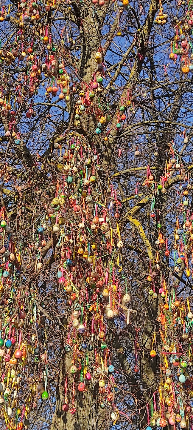 Замечательная прогулка, наши наилучшие рекомендации для первого знакомства с древнейшим городом. Спасибо Светлане!