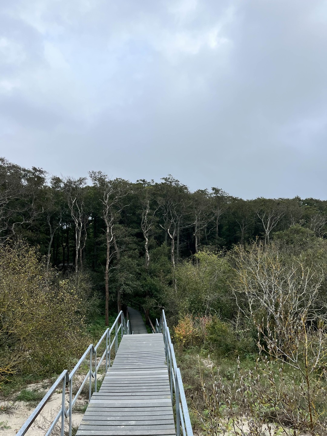Нус очень обонятельный и открытый человек. Осталось только приятное впечатление от экскурсии. Очень красивые места увидели