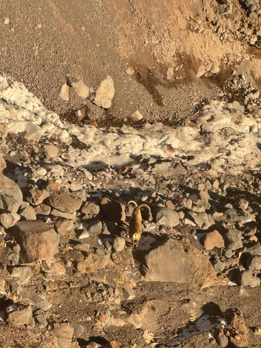 Отравилась на завтраке на первой остановке. Думаю, что не продуктами, а грязные приборы или что-то еще