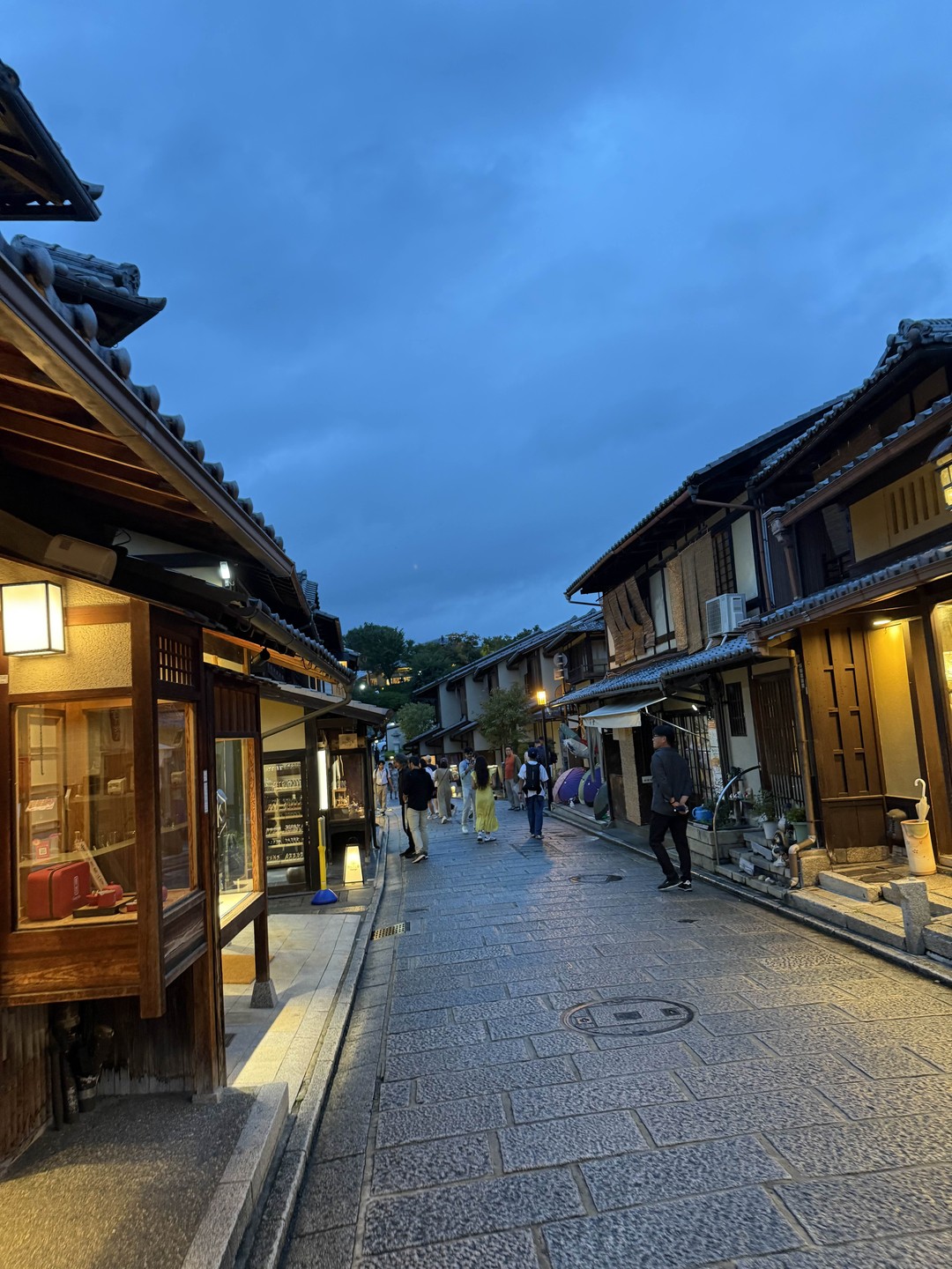 Марина отлично справилась со своей работой! Учитывая что мы прибыли из Осаки в Киото с большим