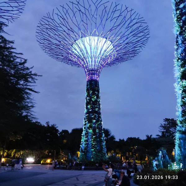 отличный экскурсовод, давно живёт в Сингапуре, хорошая речь, показала нам Сингапур с точки зрения историка, живущего тут