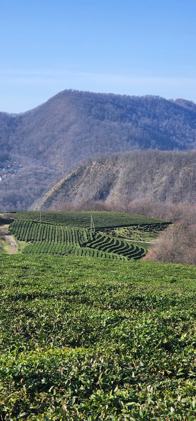 Удивительные окрестности Сочи на авто (Юлия)