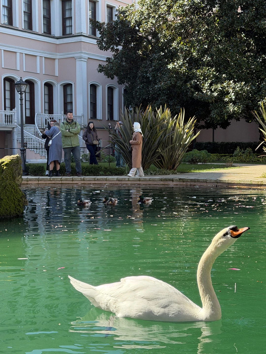 Мы остались под приятным впечатлением от этих чудесных трех дней в Стамбуле! Мустафа помог с организацией