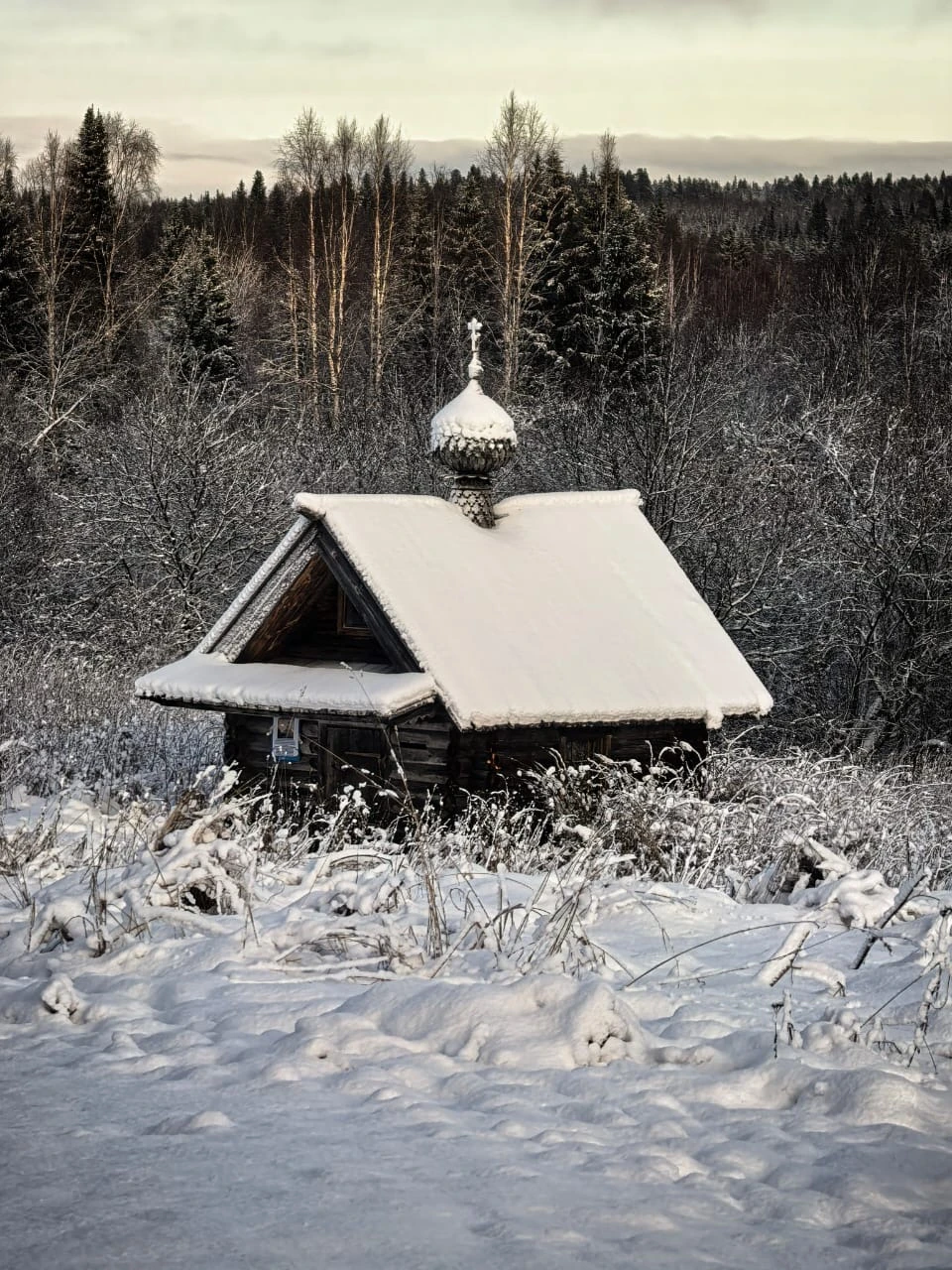 Советую! Гид Ольга - профессионал. Красивые заповедные места, загадочные природные явления очаровывают. Тонкая красота Севера открывается