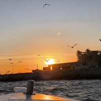reviews img