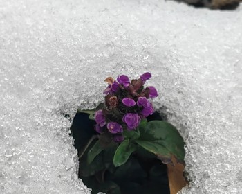 Треккинг по ущелью Юсеньги