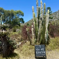 Фото отзыва 3: экскурсия "Кейптаун и Мыс Доброй Надежды — путешествие на край света"