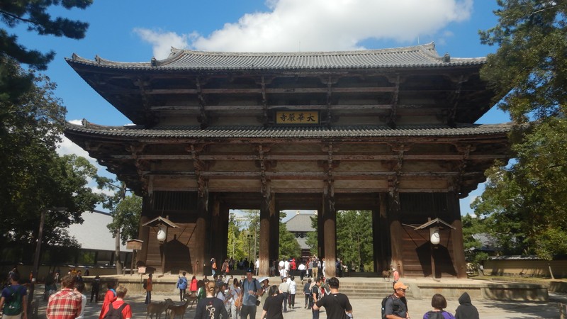 Древняя столица Нара: история, архитектура, олени