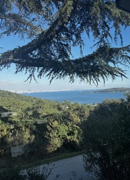 Фото отзыва 6: экскурсия "Прогулка с аудиогидом по острову Бююкада"