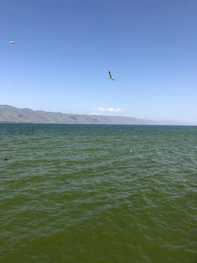 Гарик замечательный гид, который владеет большим запасом знаний и легко подстраивается под ваш запрос - хотите