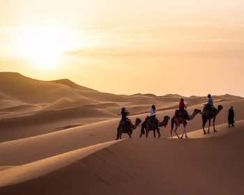 Ущелье Тодра, переход по пустыне на верблюдах, шоу берберов, ночь в шатрах