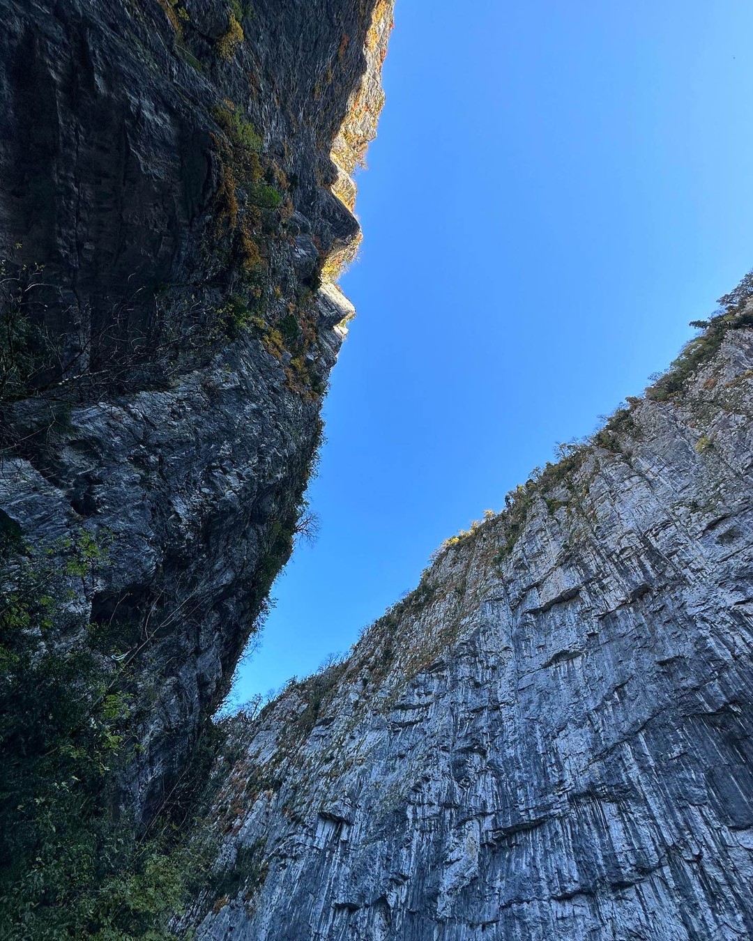 Это наша вторая поездка с друзьями в Абхазию. И думали, ну чем нас удивить…? Мы же