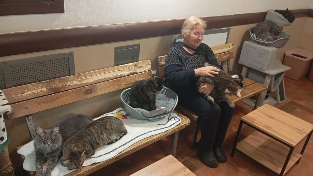 Все было супер) Кофе оболденное)))