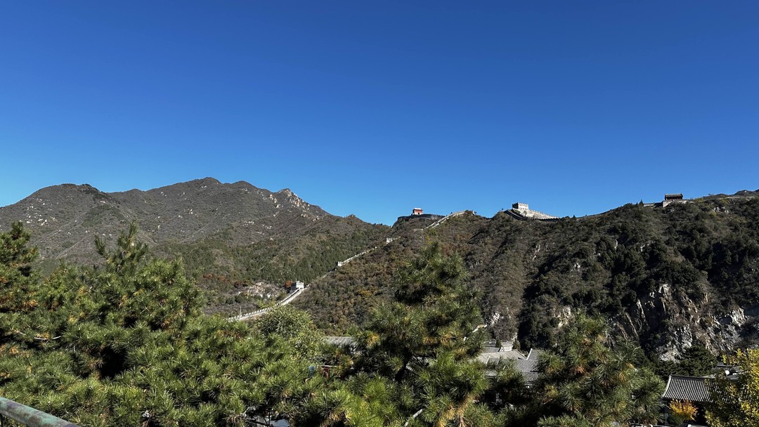 Пекин и Великая Китайская стена за 1 день: индивидуальная VIP-экскурсия (Елена)