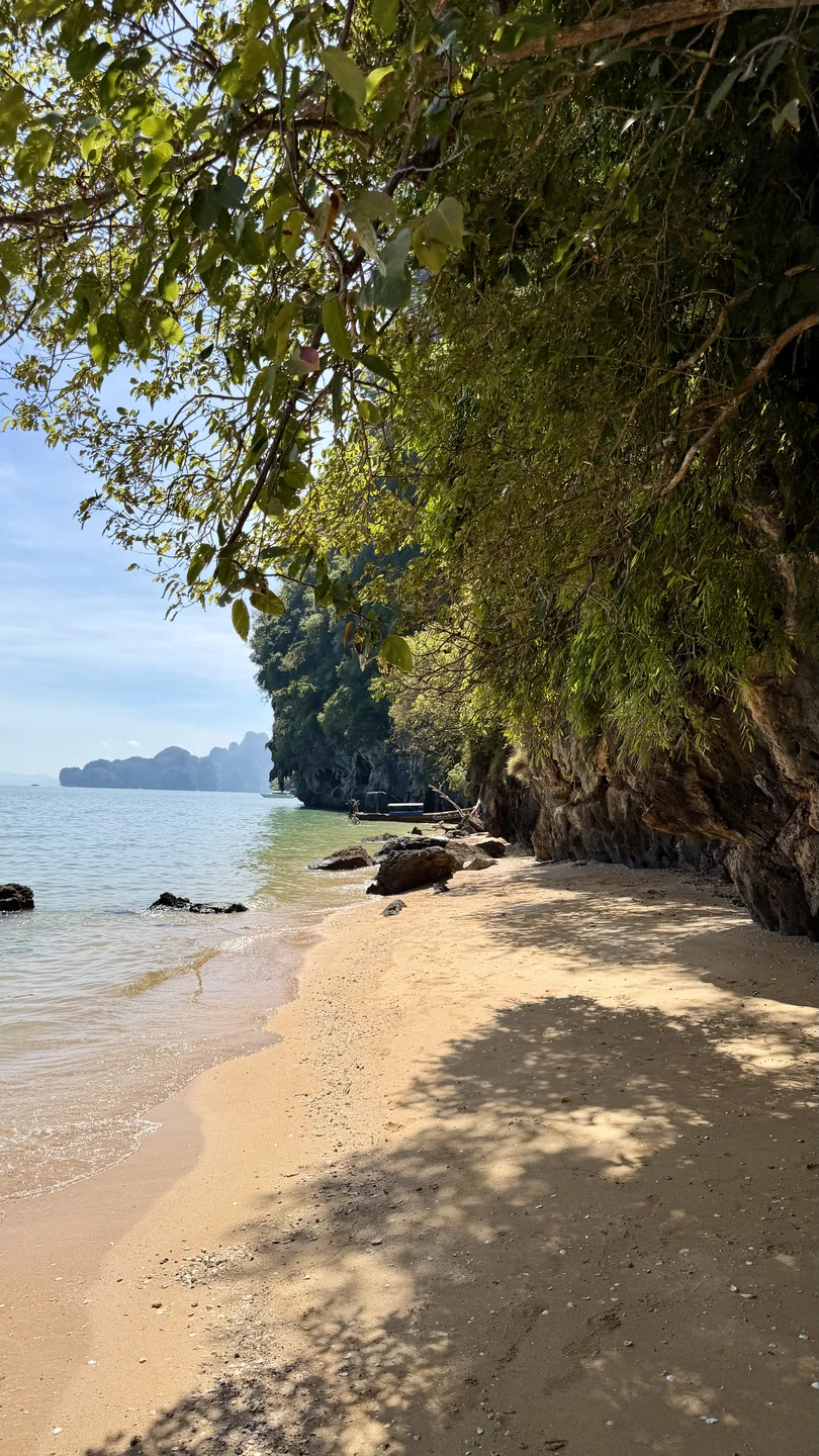 Хочу выразить огромную благодарность гиду Андрею за прекрасно организованную экскурсию! Всё было интересно, познавательно и очень