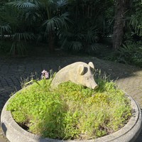 Фото отзыва 1: экскурсия "Сочи: начало. Исторические приключения южного города"