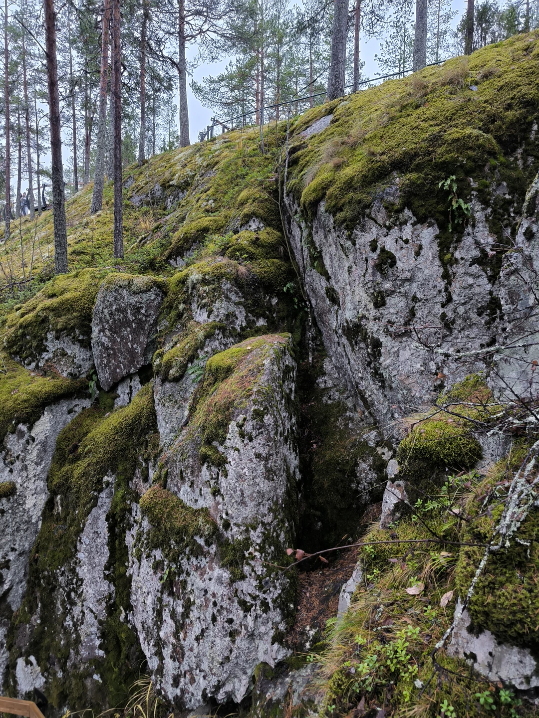 Спасибо за интересную и познавательную экскурсию. Было очень интересно, много узнали нового. Отдельное спасибо за чай с калитками
