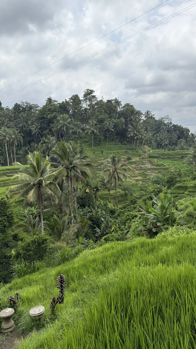 Приятное путешествие к центральной части острова, Вайан прекрасный гид, очень хорошо говорит по-русски, рассказал по пути