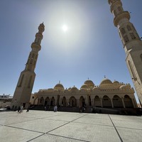 Фото отзыва 2: экскурсия "Хургада глазами зимовщицы"