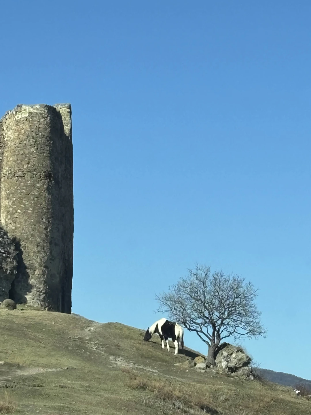 Святая Мцхета: экскурсия в небольшой группе (Саша)