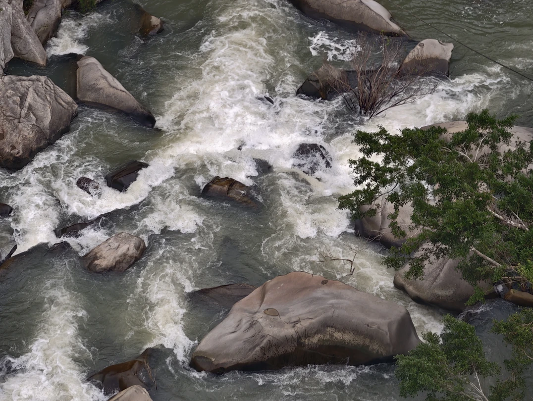 Тропические джунгли Янода - путешествие из Саньи (Дмитрий)