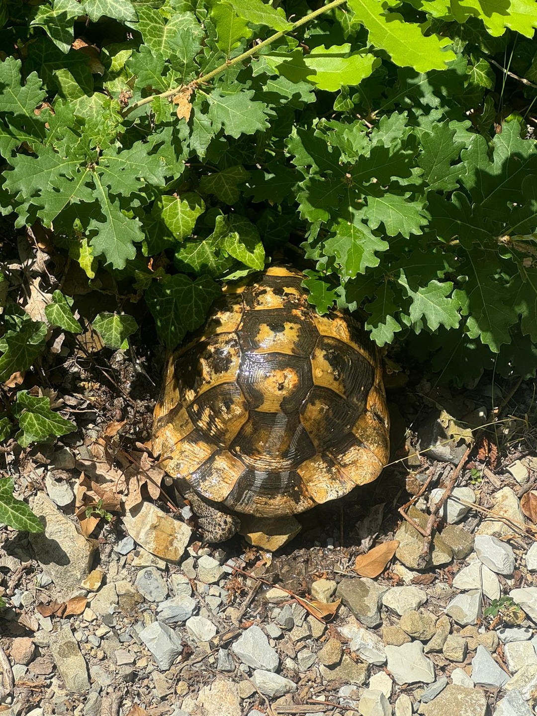 Здорово! Организация мероприятий на высшем уровне. Отдых, активный отдых (в. т. ч. плаванье на надувных досках)