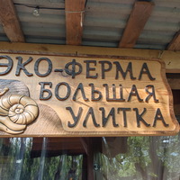 Фото отзыва 1: экскурсия "Гастроэкскурсия по первой улиточной ферме в Адлерском районе (всё включено)"