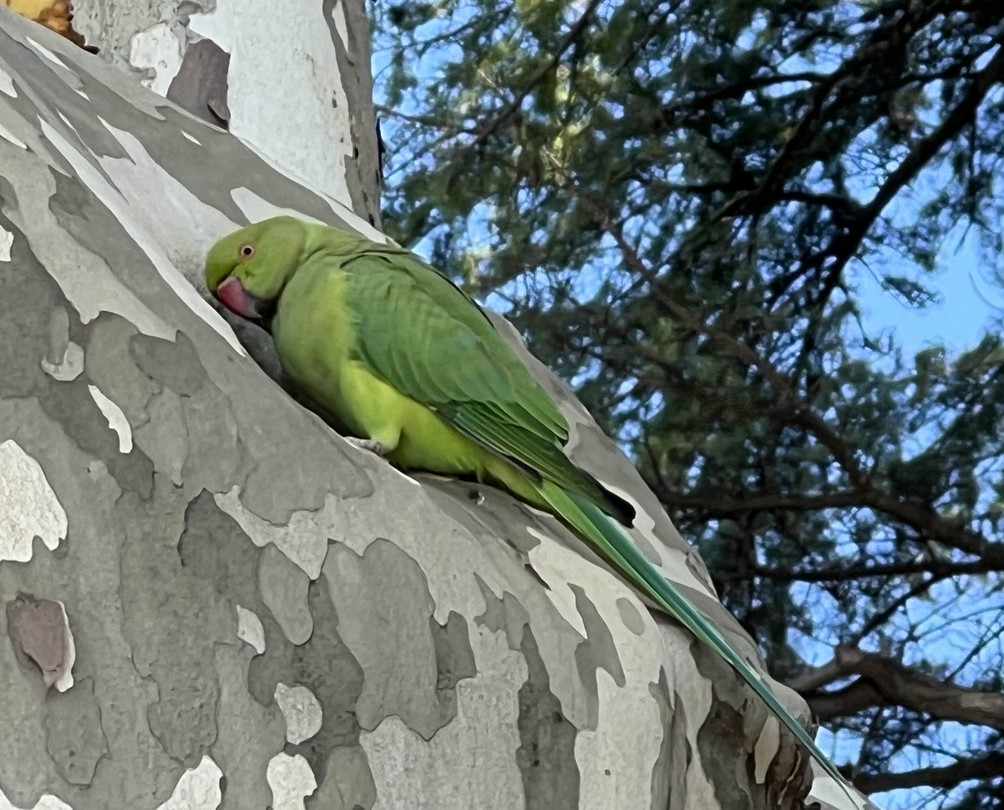 Первое прикосновение к Риму: основные достопримечательности и секреты (Дмитрий)