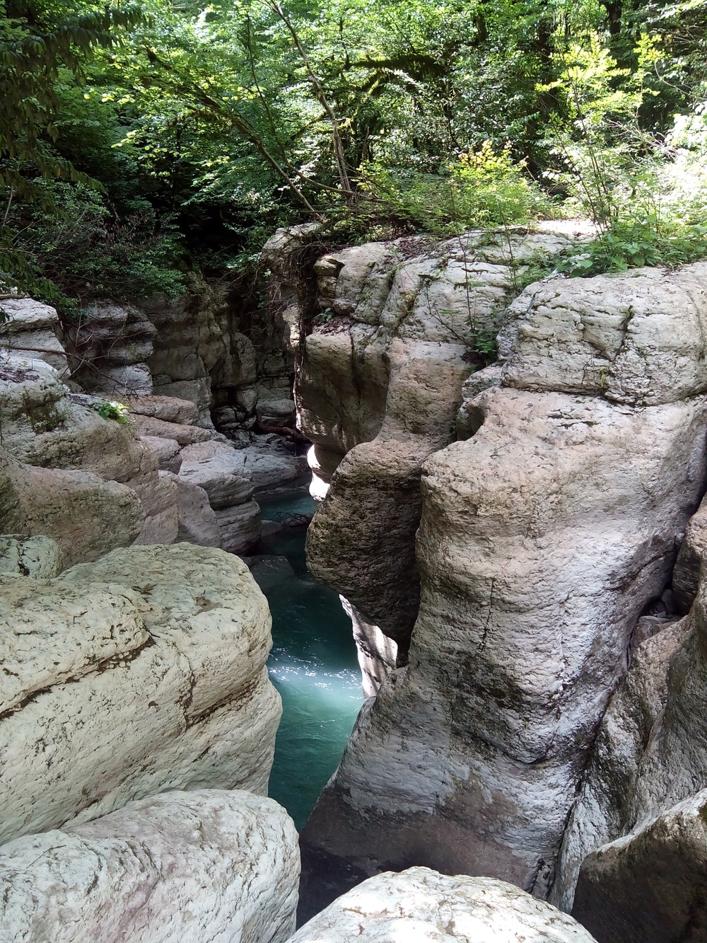 Белые скалы: путешествие в первобытный мир Сочи (6/15)