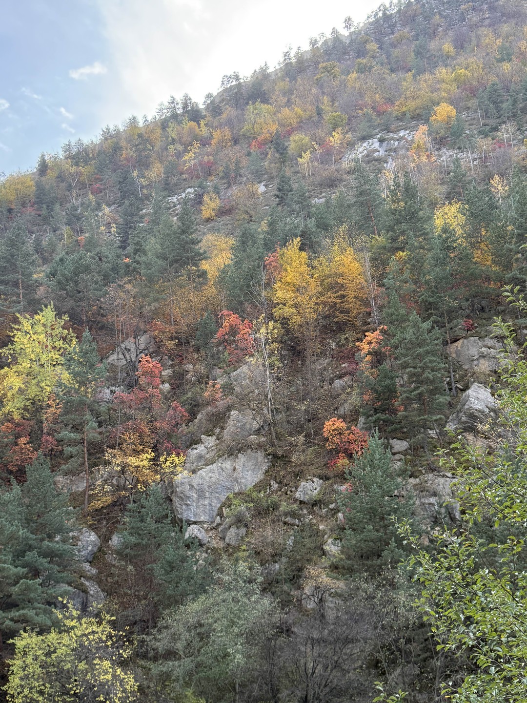 Маршрут составленный организатором поездки выше всяких похвал. Всё было великолепно. Питание на 5+