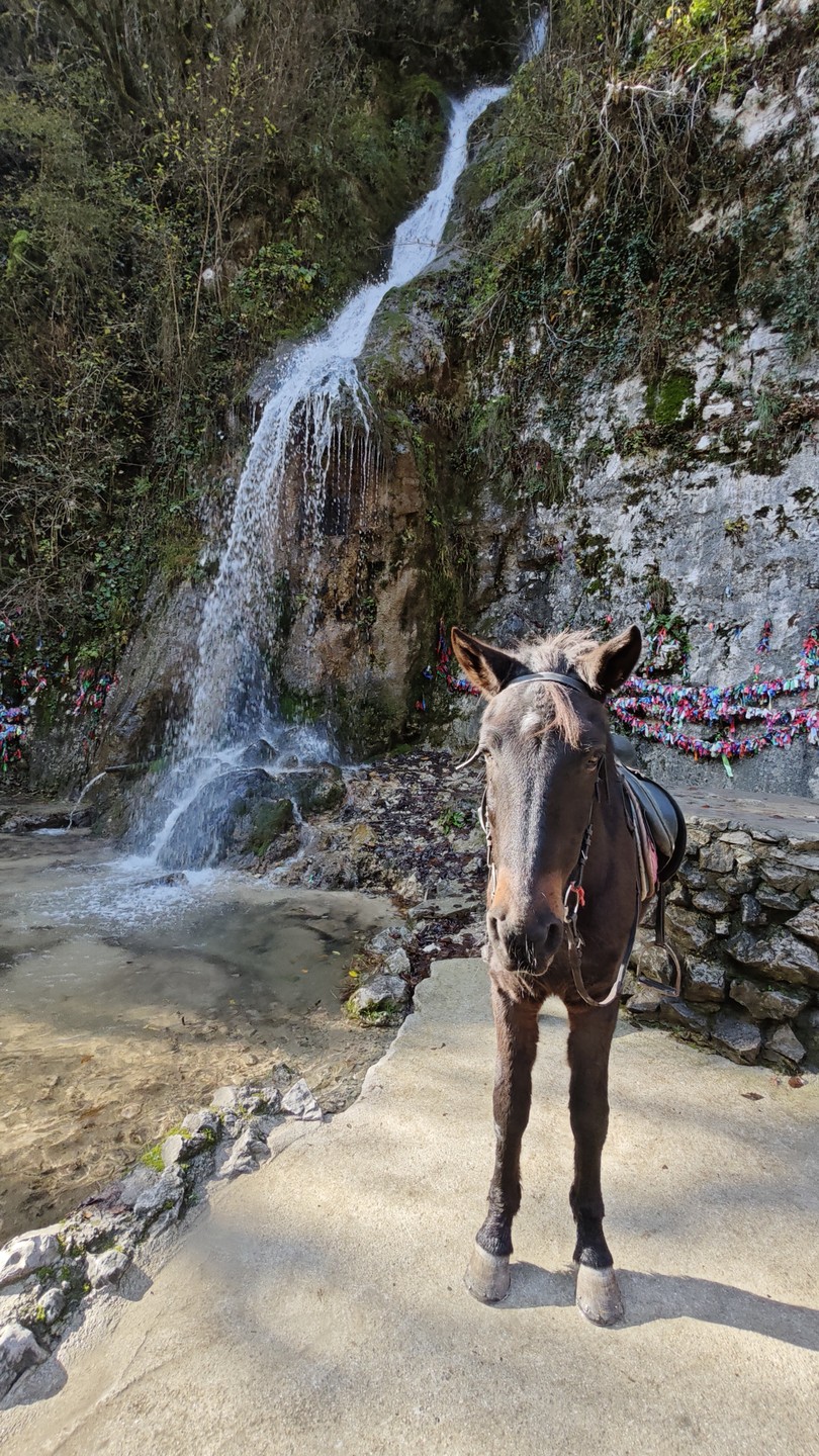 Отличная экскурсия, прекрасная природа Абхазии