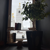 Фото отзыва 6: экскурсия "Интересный Арзамас и его старинные профессии"