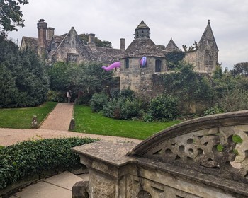 Замок Бодиам, сад Ниманс, Брайтон