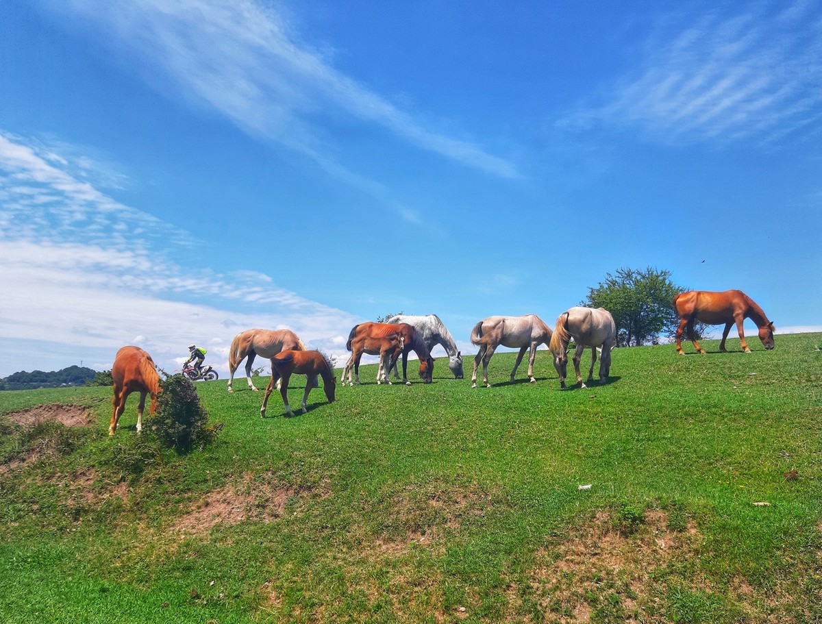 Треккинг-экскурсия по 3 каньонам Сочи (7/12)
