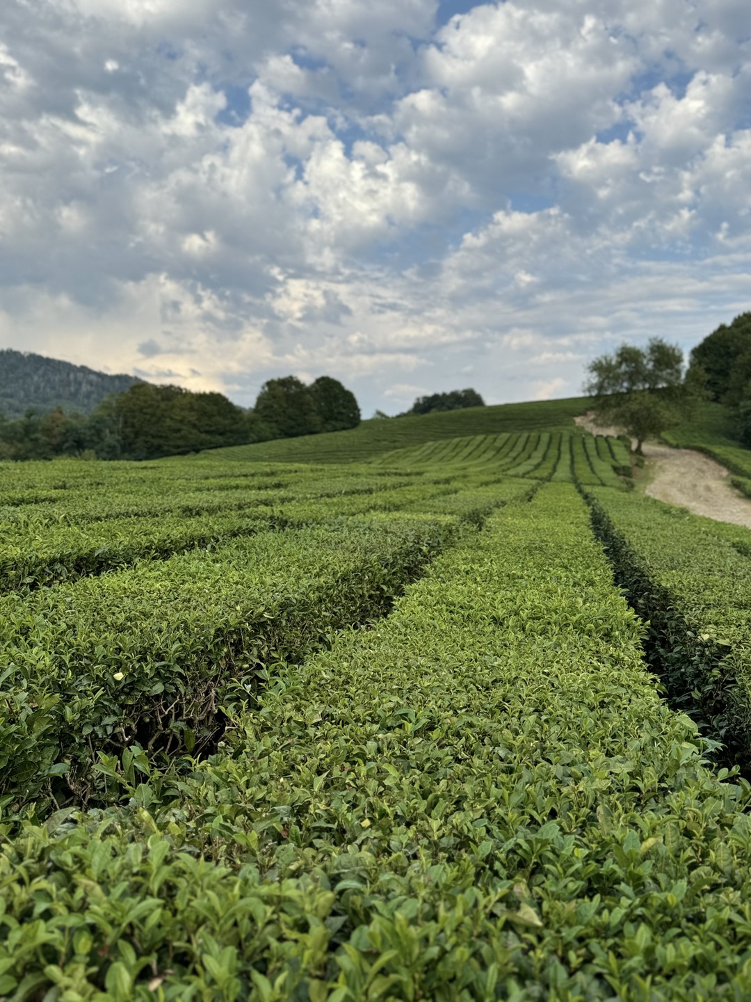 Экскурсия просто огонь 🔥