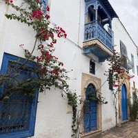 Фото отзыва 2: экскурсия "Большое путешествие по Тунису"