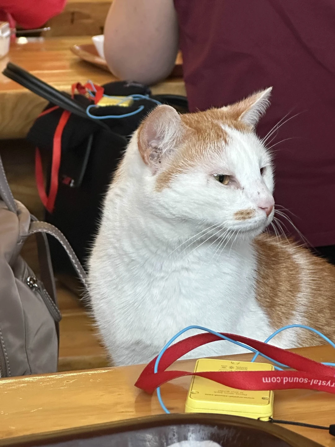 Спасибо огромное за экскурсию. Очень интересно и насыщенно. Можно немного увеличить время экскурсии, чтобы было больше