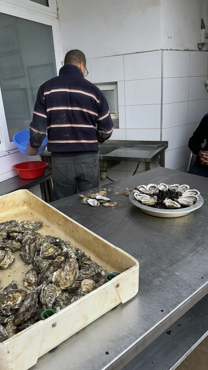 Секретная устричная ферма под Касабланкой (Ирина)