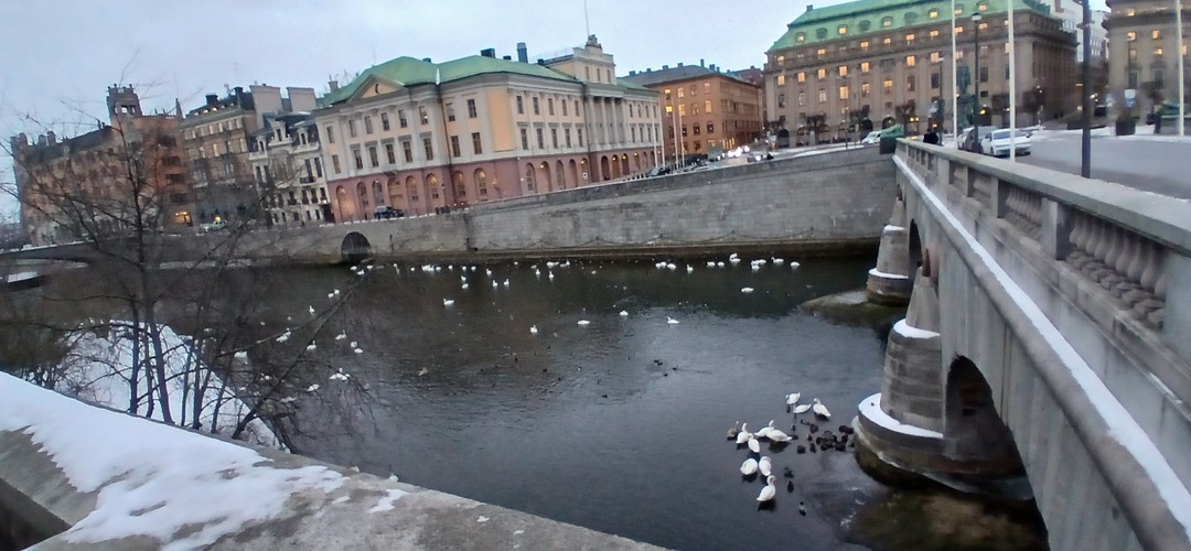 Большое спасибо Гузель за наше первое знакомство с историей Швеции и историческим её сердцем - Старым городом!
