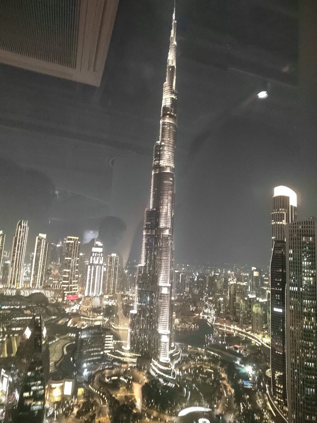 Экскурсия по Дубаю прошла безупречно, нам очень понравилось, гид Азиз был очень вежливым и добрым. У